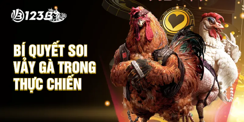 Bí quyết soi vảy gà trong thực chiến