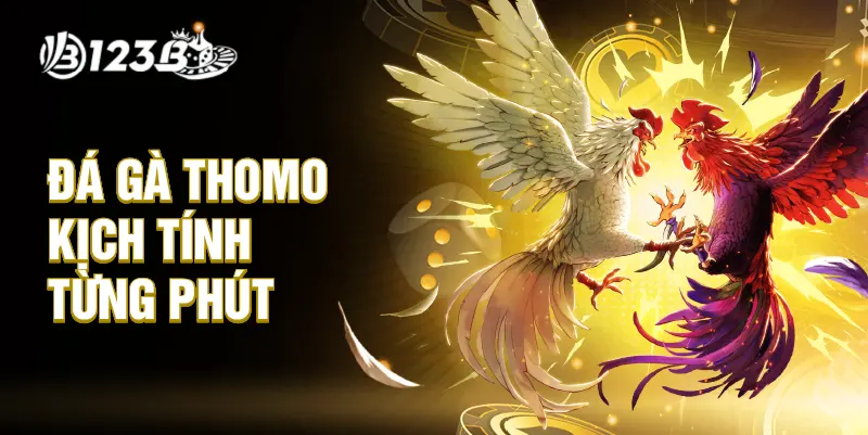 Đá gà Thomo kịch tính từng phút