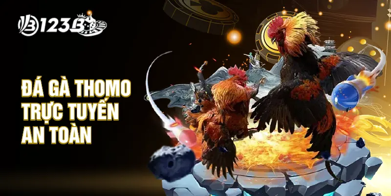 Đá gà Thomo trực tuyến an toàn